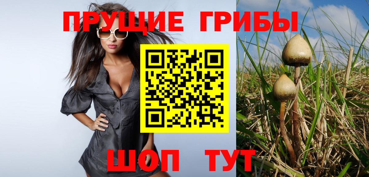 где можно купить наркотик  Псилоцибиновые грибы Magic Shrooms  Вход с VPN  Советск 
