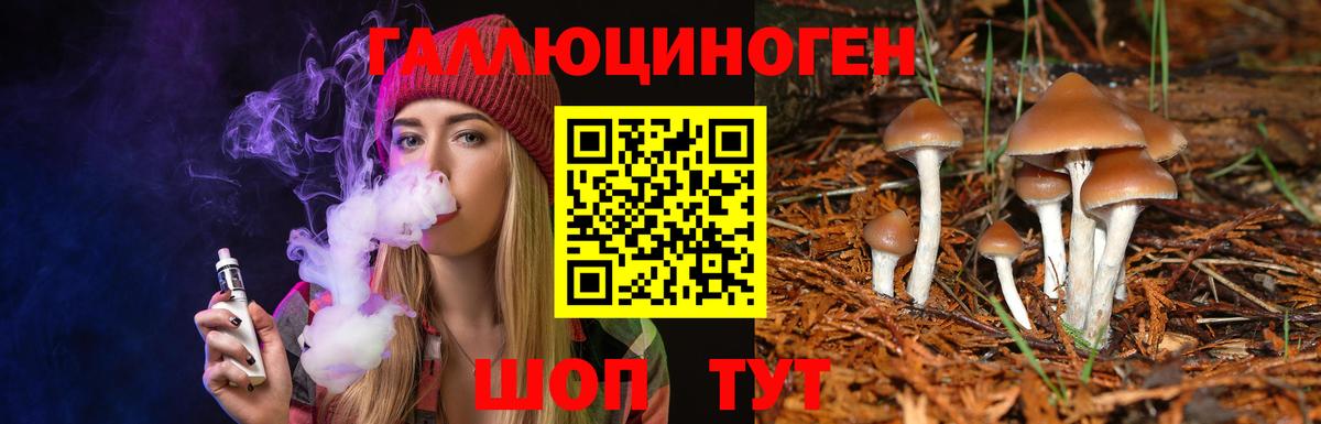 Псилоцибиновые грибы мухоморы Советск
